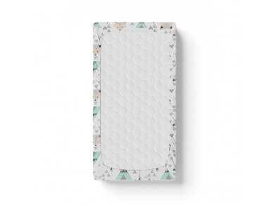 Ankras bed sheet with elastic band 120x60 fox mint 2