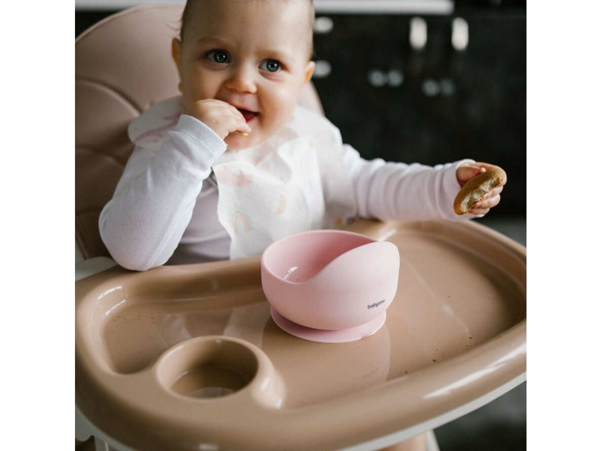 Babyono silicone suction bowl pink 1481/02 10 Babyono silicone suction bowl pink 1481/02 10