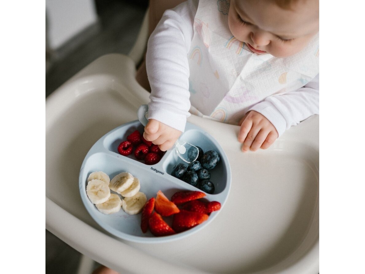 Babyono silicone suction bowl blue 1482/01 6 Babyono silicone suction bowl blue 1482/01 6
