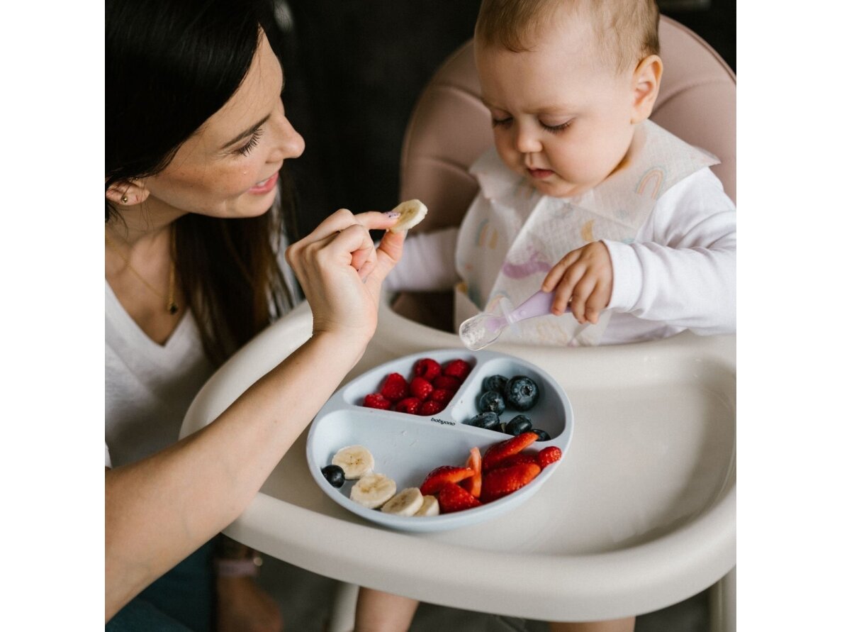 Babyono silicone suction bowl blue 1482/01 8 Babyono silicone suction bowl blue 1482/01 8