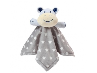 Double-sided minky blanket with the baby’s first little friend 1