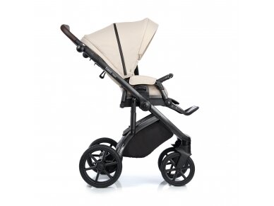 Roan stroller Bass Next 2/1 Champagne Mood 1