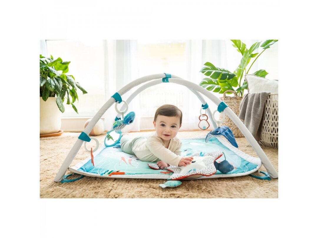 TREASURE THE OCEAN 2-IN-1 MUSICAL GYMINI Tiny love 3 TREASURE THE OCEAN 2-IN-1 MUSICAL GYMINI Tiny love 3