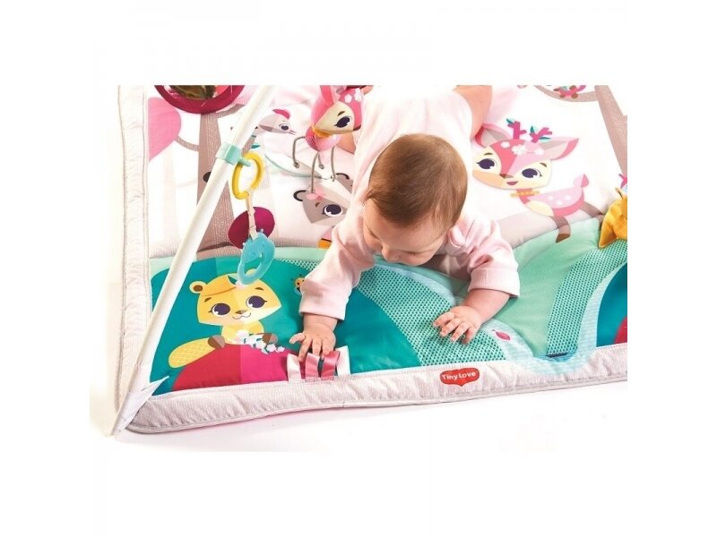 TINY PRINCESS TALES GYMINI DELUXE Tiny Love 4 TINY PRINCESS TALES GYMINI DELUXE Tiny Love 4