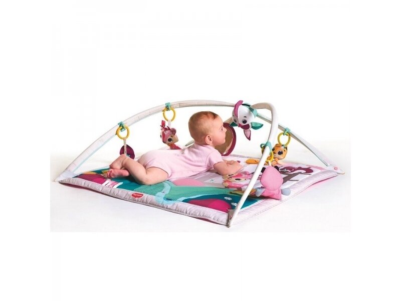 TINY PRINCESS TALES GYMINI DELUXE Tiny Love 1