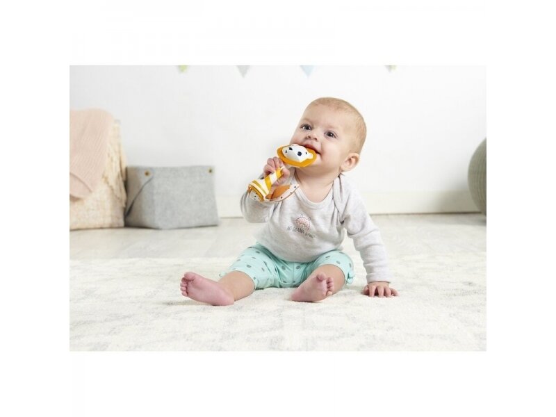 TINY SMARTS LEONARDO TEETHER RATTLE Tiny Love 1