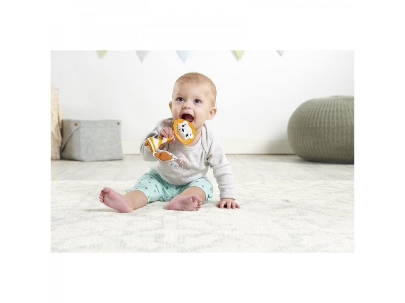 TINY SMARTS LEONARDO TEETHER RATTLE Tiny Love 2
